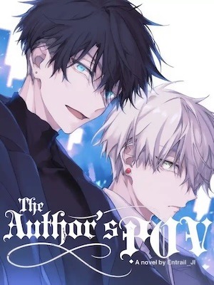 The Author's POV cover